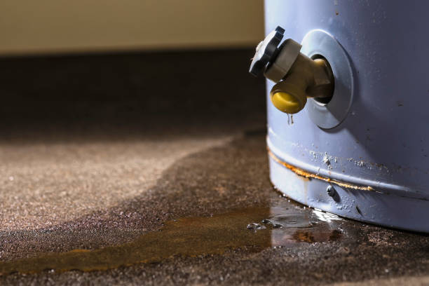 Best Sewage cleanup and water damage restoration  in Wrightsville, GA