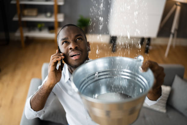Best Professional water damage repair  in Wrightsville, GA