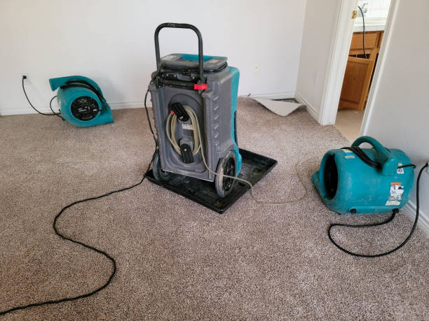 Best Water damage restoration near me  in Wrightsville, GA