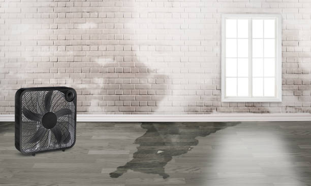 Best 24-hour water damage restoration  in Wrightsville, GA