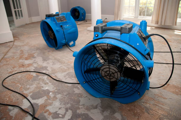 Professional Water damage restoration in Wrightsville, GA