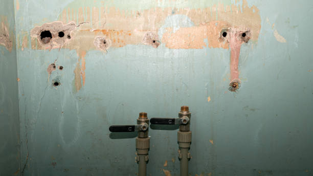 Best Flood damage cleanup  in Wrightsville, GA