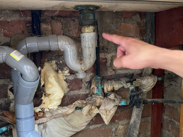 Best Water damage cleanup near me  in Wrightsville, GA
