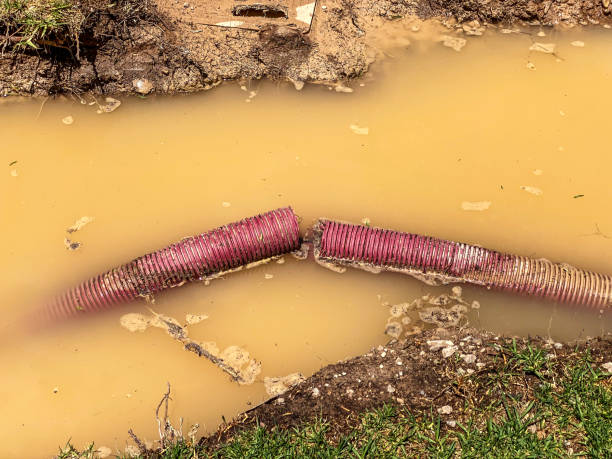 Best 24/7 water damage repair  in Wrightsville, GA