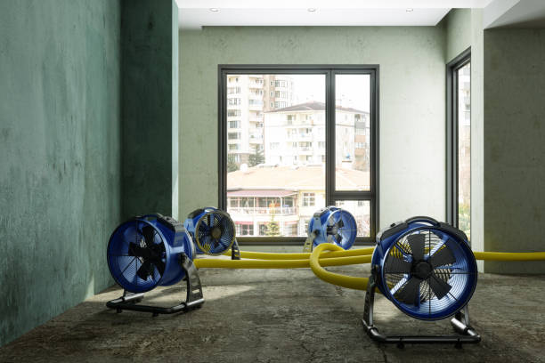 Best Ceiling water damage repair  in Wrightsville, GA