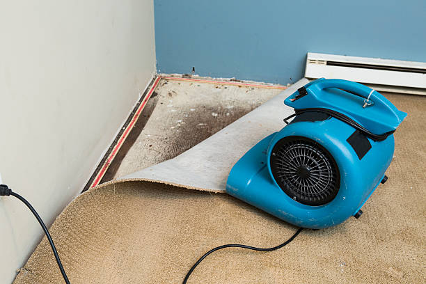 Trusted Wrightsville, GA Water damage restoration Experts